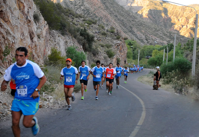 Carrera Transitions Running 2013