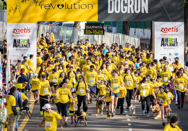 DOGRUN Buenos Aires 2015